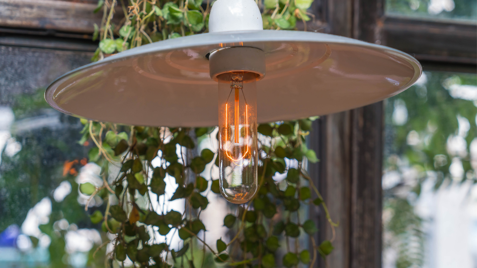 Trending Chandelier Styles for Spring 2024